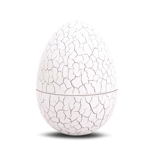 Dino Park Baby Surpresa - Bee Toys - Image 2